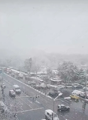 inchiriez garsoniera