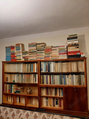 Vand carti si tablou