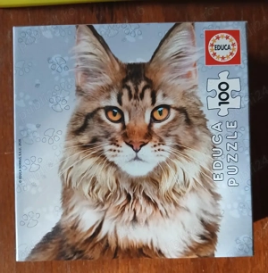 Puzzle-uri cu 100 piese, predare personală București  - imagine 2