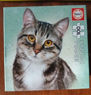 Puzzle-uri cu 100 piese, predare personală București 