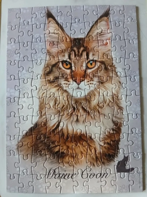 Puzzle-uri cu 100 piese, predare personală București  - imagine 4