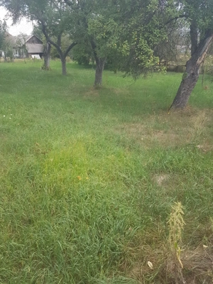 Teren Intravilan Jd. Argesi Loc. Domnesti 920 mp - imagine 4