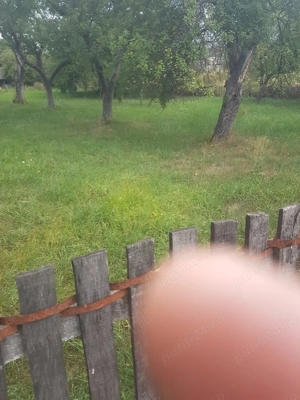 Teren Intravilan Jd. Argesi Loc. Domnesti 920 mp - imagine 2