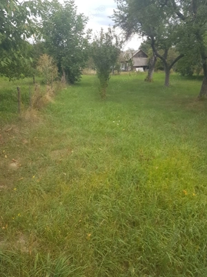 Teren Intravilan Jd. Argesi Loc. Domnesti 920 mp - imagine 3