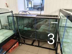 Vând acvariu 500 litri  - imagine 3