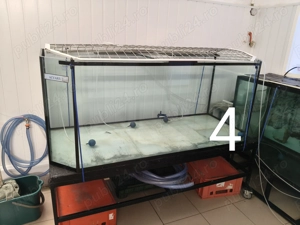 Vând acvariu 500 litri  - imagine 4