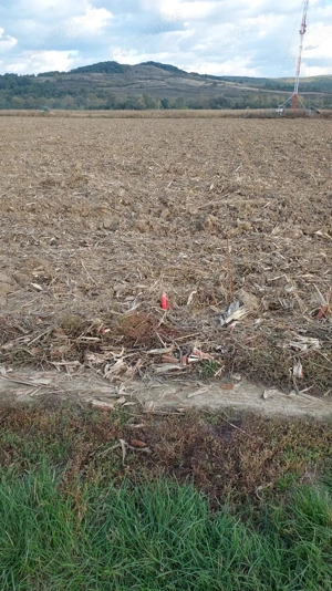 Vand teren intravilan - Bacia - imagine 2