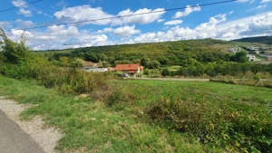 Teren de vanzare 1000 mp