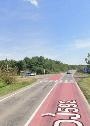 Teren intravilan 3000 mp Albina - imagine 2