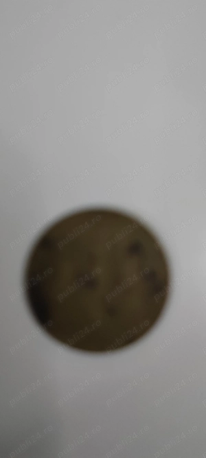 Monezi vechi - imagine 5