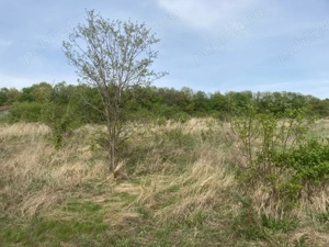 teren Padureni comuna Chinteni