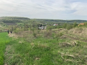 teren Padureni comuna Chinteni - imagine 2