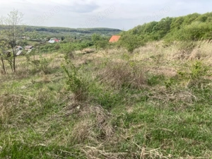 teren Padureni comuna Chinteni - imagine 3