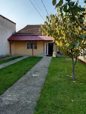 Inchiriez casa in Timisoara