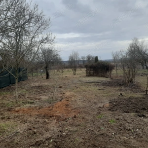 Teren intravilan in jud.Timis - imagine 3