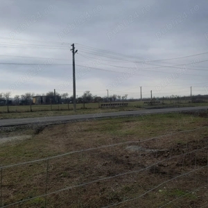 Teren intravilan in jud.Timis - imagine 5