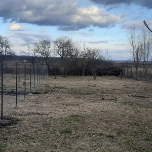 Teren intravilan in jud.Timis - imagine 2