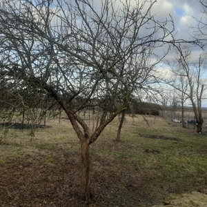 Teren intravilan in jud.Timis