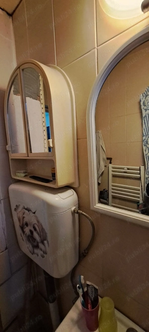 Vând apart. 3 camere in Beiuș  etaj 1 - imagine 8