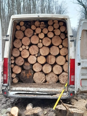 lemne de foc  - imagine 2