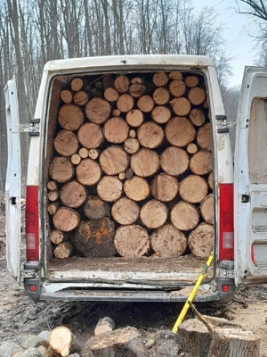 lemne de foc  - imagine 3