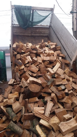 lemne de foc  - imagine 4