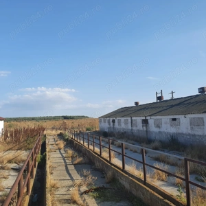 Ferma agricola,de vanzare - imagine 3