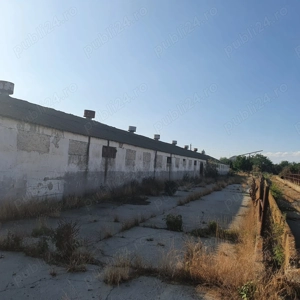 Ferma agricola,de vanzare - imagine 5