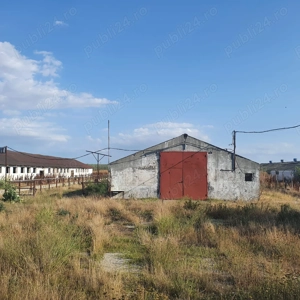 Ferma agricola,de vanzare - imagine 2