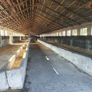 Ferma agricola,de vanzare - imagine 4