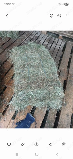 baloti de fan  - imagine 4