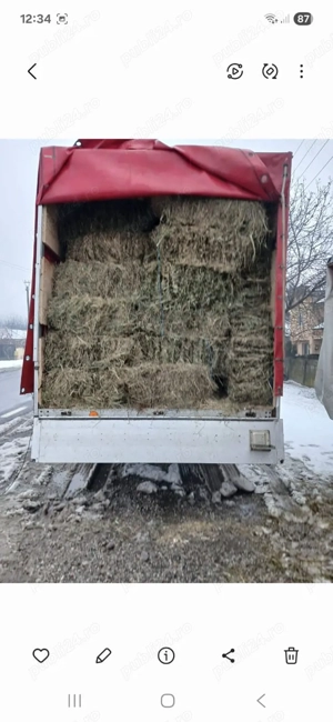 baloti de fan  - imagine 3