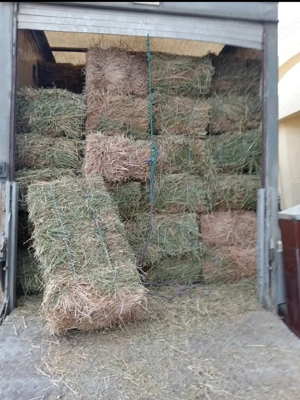 baloti de fan  - imagine 5