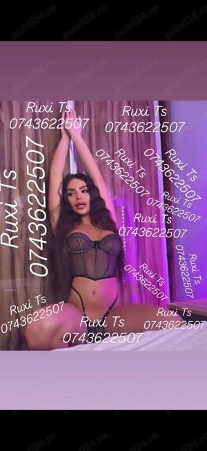 Top Trans Ruxi ofer și deplasări show web
