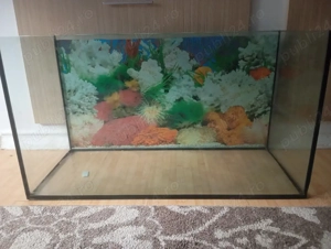 Acvariu sticlă 120 l 