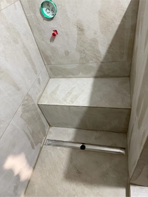 Execut lucrari profesionale