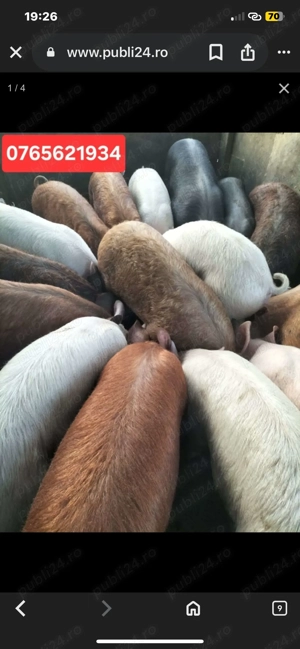 Vand sau schimb vw golf 4 