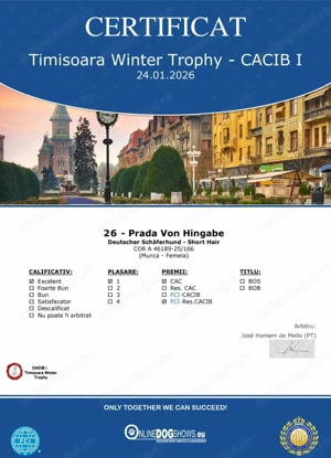 Cățel ciobănesc german cu pedigree - imagine 4