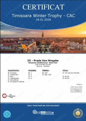 Cățel ciobănesc german cu pedigree - imagine 5