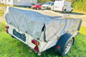 Caruca Peru cai  - imagine 2