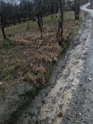 Vand urgent teren intravilan 1500 metri pătrați pret negociabil 