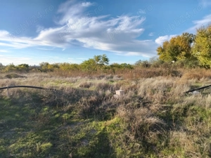 Vând teren intravilan Saraiu - imagine 3