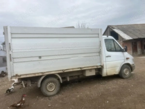 vand sau schimb cu animale - imagine 3