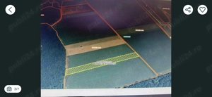 Teren Intravilan Dascalu Ilfov 13500 m2