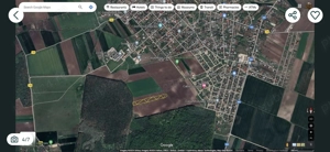 Teren Intravilan Dascalu Ilfov 13500 m2 - imagine 3