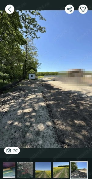 Teren Intravilan Dascalu Ilfov 13500 m2 - imagine 7