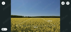 Teren Intravilan Dascalu Ilfov 13500 m2 - imagine 5