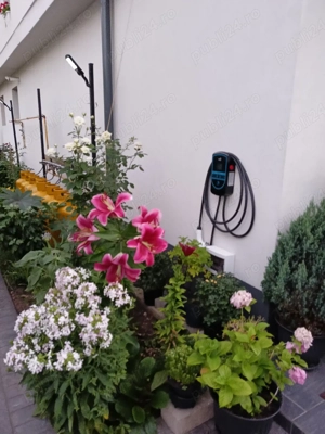 Vand Casa S+P+1+M - imagine 3