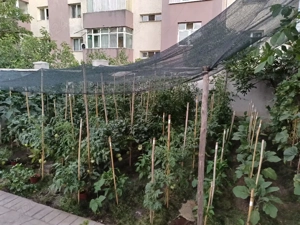 Vand Casa S+P+1+M - imagine 6