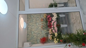 Vand afacere la cheie FLORARIE - imagine 4